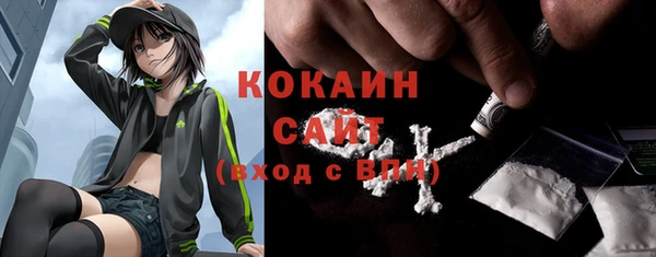 СК Волоколамск