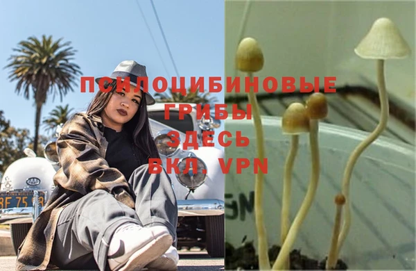 СК Волоколамск
