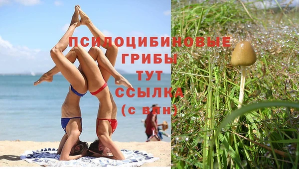 jwh Володарск
