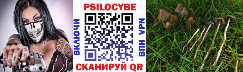 Псилоцибиновые грибы Psilocybine cubensis  Ковров 